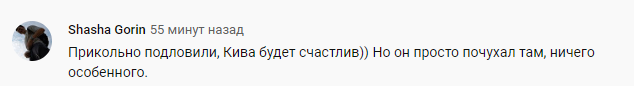 Киву застукали за "рукоблудием" в Раде